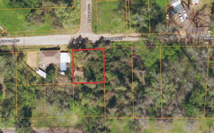 Pictures of Land property located at Lot 1A E Murchison, Palestine, TX 75801 for sales - image #1