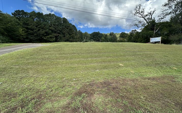 Pictures of Land property located at 27590 US-431, Grant, AL 35747 for sales - image #1
