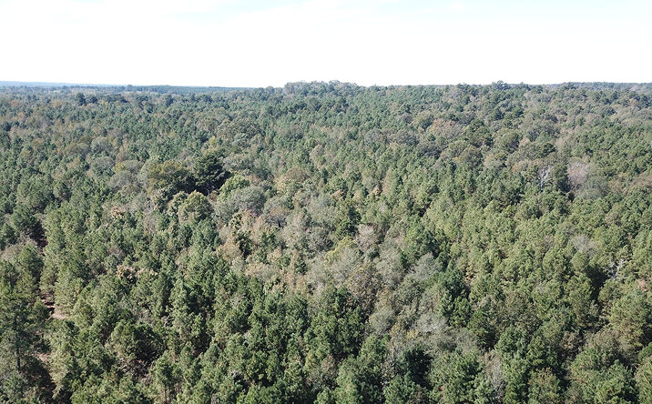 Pictures of Land property located at N Farm to Market 95, Garrison, TX 75946 for sales - image #1
