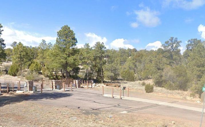 Pictures of Land property located at Summer Place North, Heber-Overgaard, AZ 85928 for sales - image #1