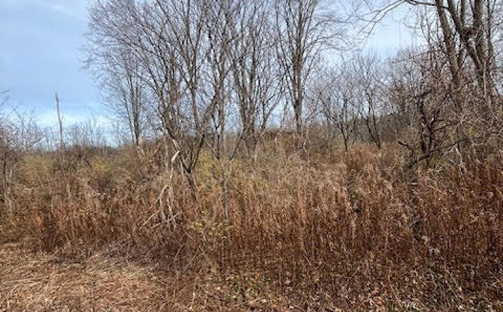 Pictures of Land property located at 415 Gage Road, Duanesburg, NY 12053 for sales - image #1