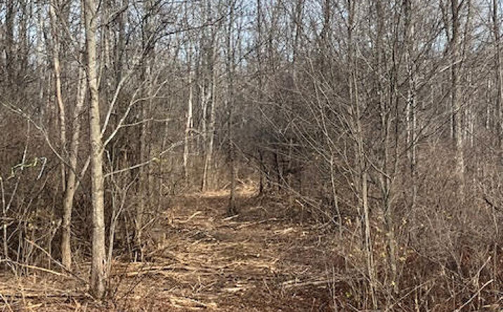 Pictures of Land property located at 453 Gage Road, Delanson, NY 12053 for sales - image #1