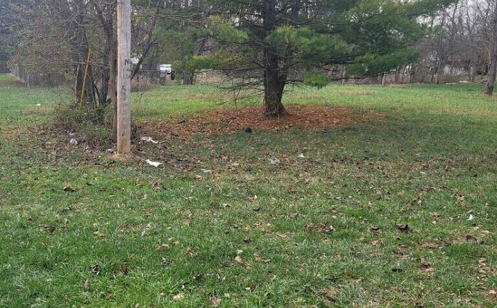 Pictures of Land property located at 2559 Milford Avenue, Columbus, OH 43211 for sales - image #1