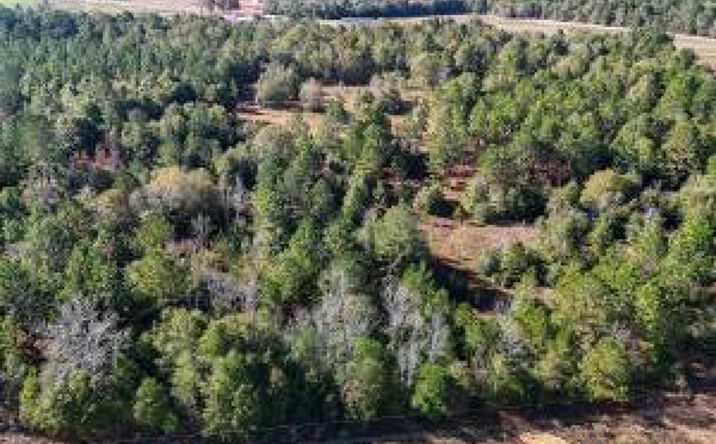 Pictures of Land property located at 244 Woodfield Road, Aiken, SC 29803 for sales - image #1