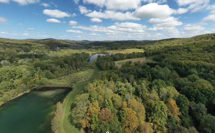 Pictures of Mixed Use, Land property located at 116 Velie Rd, Lagrangeville, NY 12540 for sales - image #1