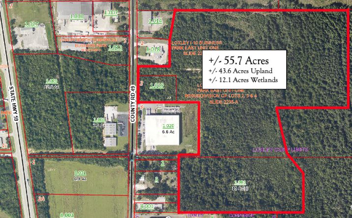 Pictures of Land property located at 30188 Co Rd 49, Loxley, AL 36551 for sales - image #1