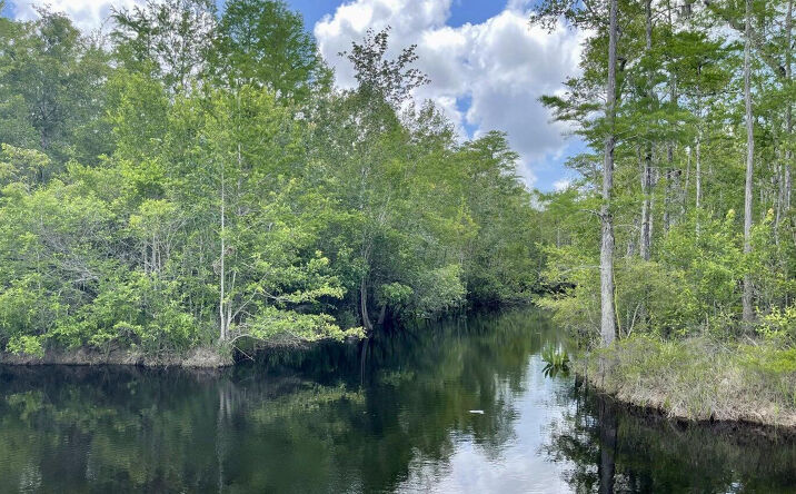 Pictures of Land property located at 7001 Greenfields Rd, Moss Point, MS 39562 for sales - image #1