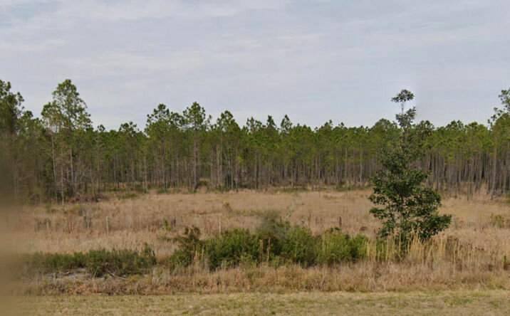 Pictures of Land property located at Independence Rd, undefined, MS 39562 for sales - image #1