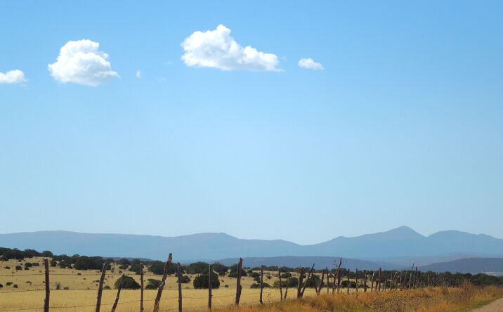 Pictures of Land, Mixed Use, Special Purpose property located at Lot 117 S, Estancia, NM 87016 for sales - image #1