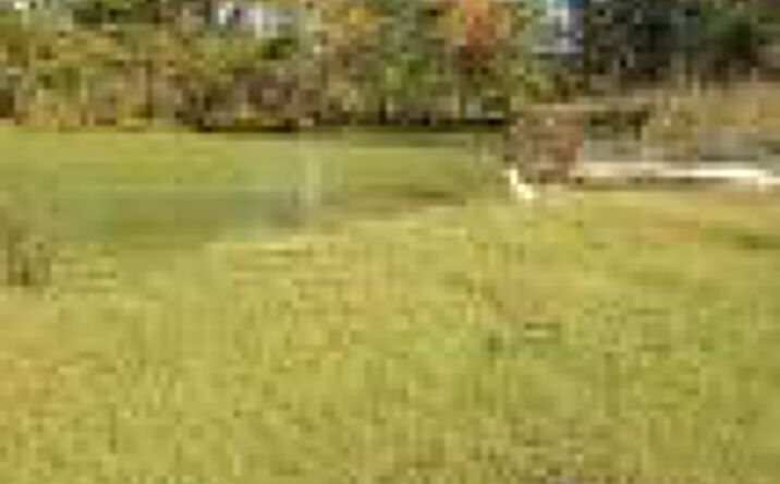 Pictures of Land property located at Tbd2 Sc Hwy 23, Edgefield, SC 29824 for sales - image #1