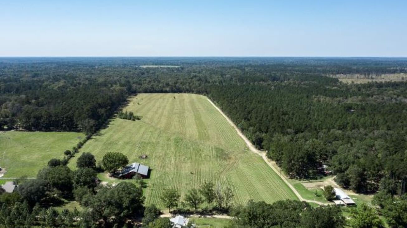 Pictures of Land property located at Price Rd, Clinton, LA 70722 for sales - image #1