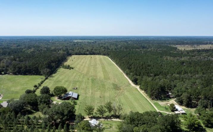Pictures of Land property located at Price Rd, Clinton, LA 70722 for sales - image #1