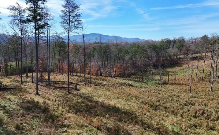 Pictures of Land property located at 902 Deitz Cable Road, Warne, NC 28909 for sales - image #1