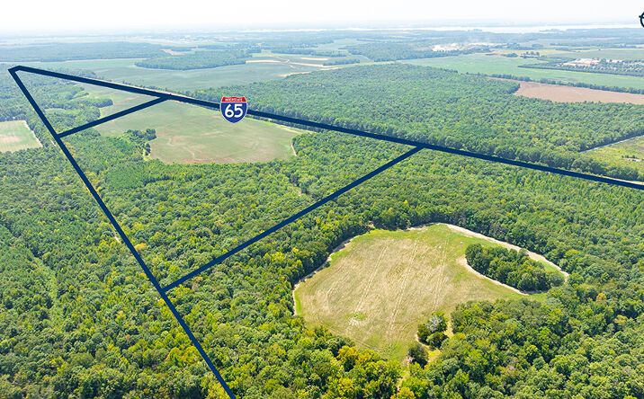 Pictures of Land, Mixed Use property located at 25244 Huntsville Brownsferry Rd, Madison, AL 35756 for sales - image #1