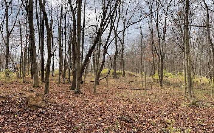 Pictures of Land property located at 0 Dozer Road SW, Stoutsville, OH 43154 for sales - image #1