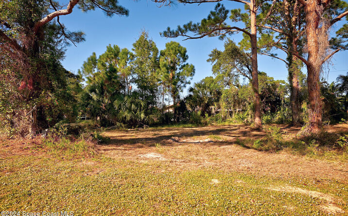 Pictures of Land property located at 0000 S Tropical Trail, Merritt Island, FL 32952 for sales - image #1
