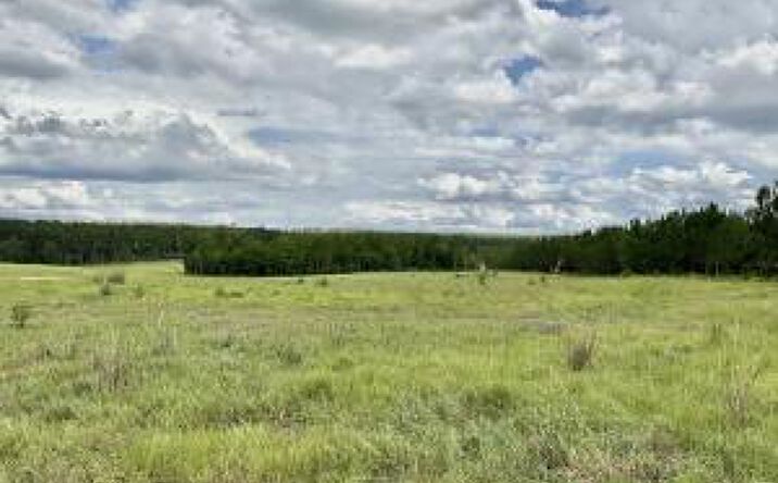 Pictures of Land property located at 0/ Lot 101 Ranchero Drive, Aiken, SC 29805 for sales - image #1