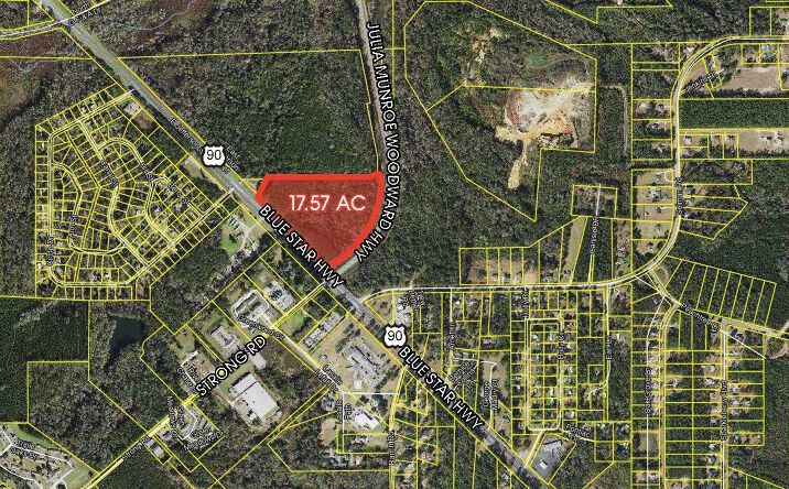 Pictures of Land property located at US Hwy 90, Quincy, FL 32351 for sales - image #1