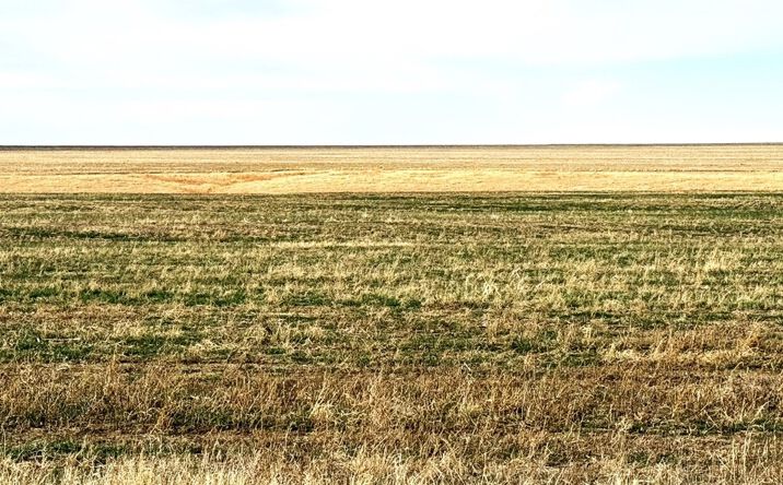 Pictures of Land property located at NE/4 Section12-12S-29W, Gove City, KS 67736 for sales - image #1