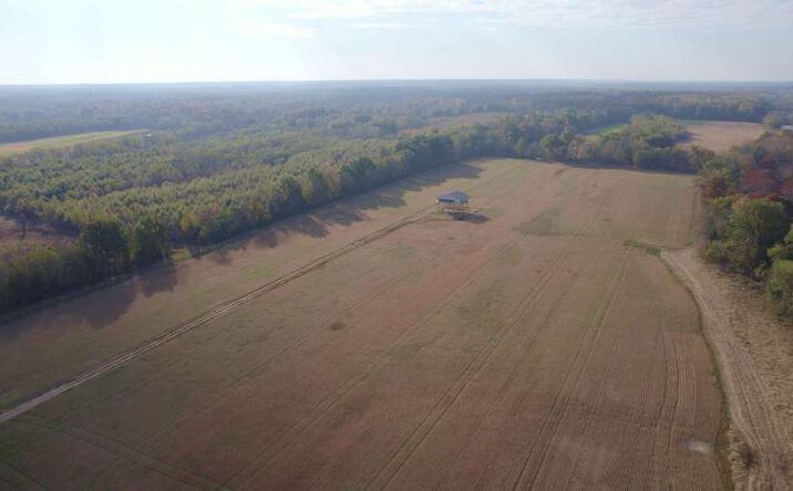 Pictures of Land property located at Holloway Landing Rd, Barlow, KY 42024 for sales - image #1