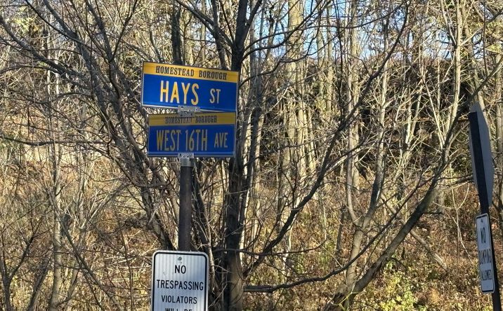 Pictures of Land property located at W 16th Ave & Hays St, Homestead, PA 15120 for sales - image #1
