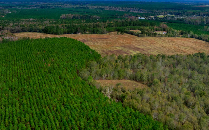 Pictures of Land property located at Water Oak Rd. & Bethel Rd, Sylvania, GA 30467 for sales - image #1