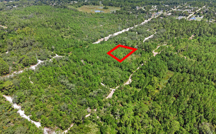 Pictures of Land property located at 229 holly hock Drive, DeLand, FL 32724 for sales - image #1