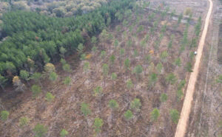 Pictures of Land property located at 000 Anchor Rd, Tylertown MS, MS 39667 for sales - image #1