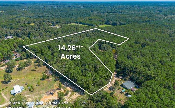 Pictures of Land property located at 0 Ward, Petal, MS 39465 for sales - image #1