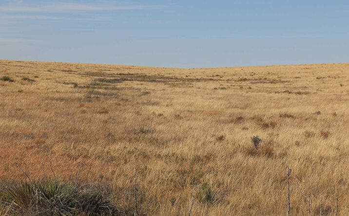 Pictures of Land property located at xxxx Guymon St, Guymon, OK 73942 for sales - image #1