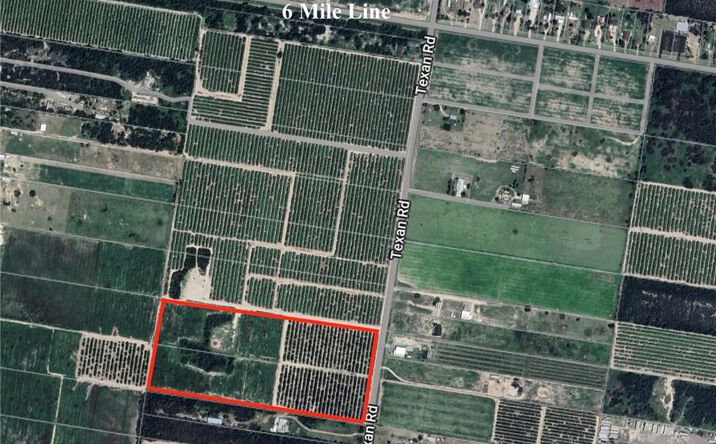 Pictures of Land property located at 00 Texan Road, Mission, TX 78572 for sales - image #1