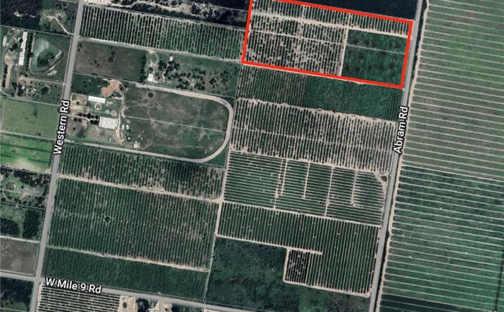 Pictures of Land property located at 0 N Abram Road, Mission, TX 78573 for sales - image #1