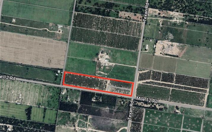 Pictures of Land property located at 00000 Texan Road, Mission, TX 78574 for sales - image #1