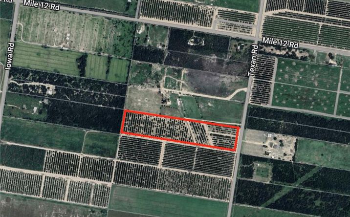 Pictures of Land property located at 0 W Texan Road, Mission, TX 78574 for sales - image #1