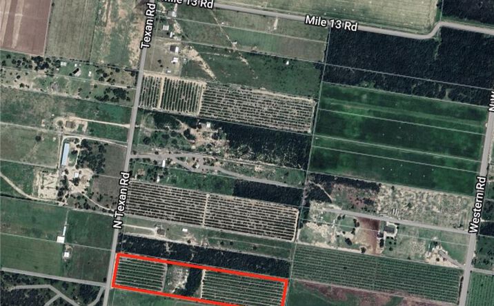 Pictures of Land property located at 02 Texan Road, Mission, TX 78574 for sales - image #1