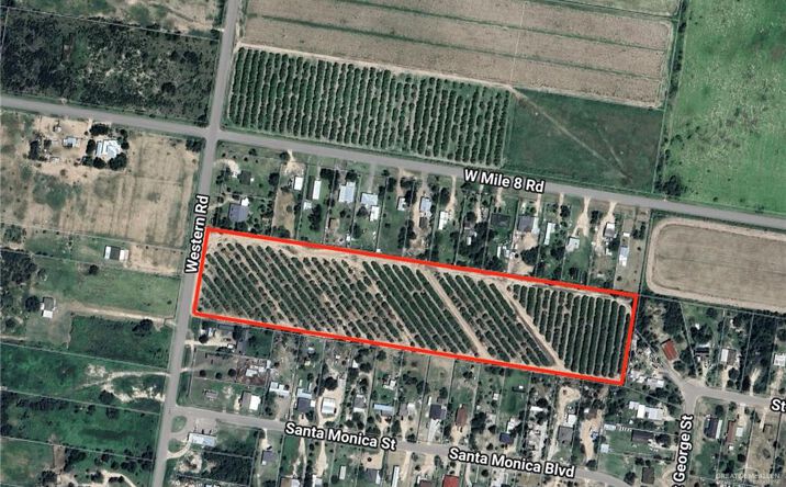 Pictures of Land property located at 00 Western Road, Mission, TX 78574 for sales - image #1