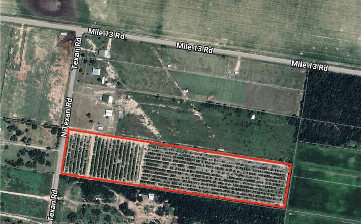 Pictures of Land property located at 03 Texan Road, Mission, TX 78574 for sales - image #1