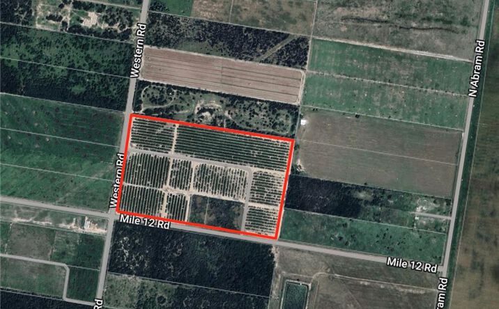 Pictures of Land property located at 001 Western Road, Mission, TX 78574 for sales - image #1