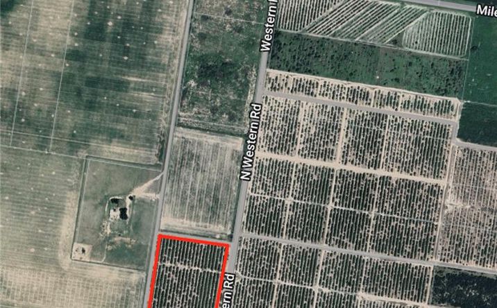 Pictures of Land property located at 000 Western Road, Mission, TX 78574 for sales - image #1