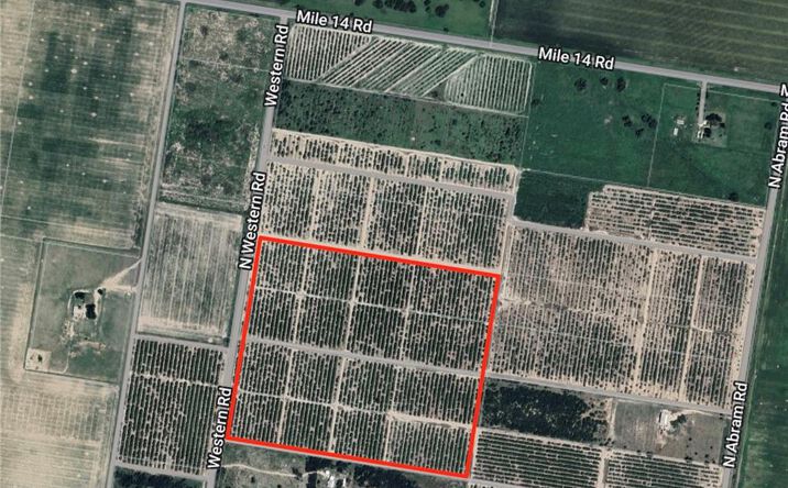 Pictures of Land property located at 002 Western Road, Mission, TX 78574 for sales - image #1