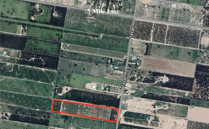 Pictures of Land property located at 003 Texan Road, Mission, TX 78572 for sales - image #1