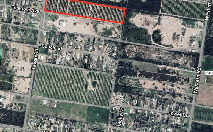 Pictures of Land property located at 0 Texan Road, Mission, TX 78573 for sales - image #1