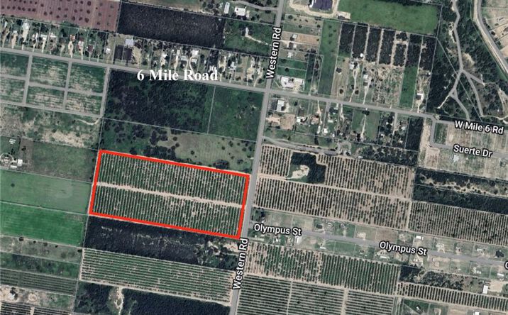 Pictures of Land property located at 00000 Western Road, Mission, TX 78573 for sales - image #1