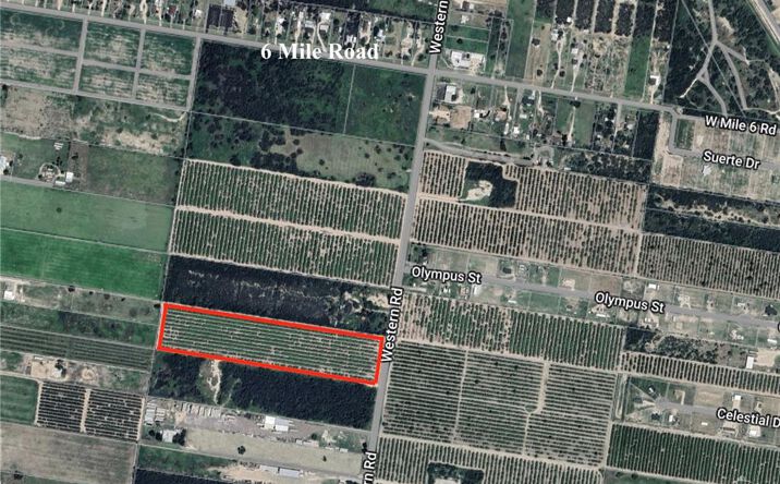 Pictures of Land property located at 0001 Western Road, Mission, TX 78572 for sales - image #1