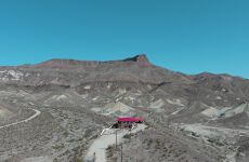 20906391