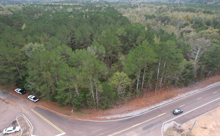 Pictures of Land property located at Highway 16 and Pat Luckett Rd, Canton, MS 39046 for sales - image #1