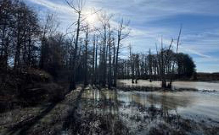 Pictures of Land property located at 71 Acres, Ruleville, MS 38771 for sales - image #1