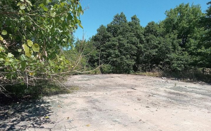 Pictures of Land property located at 188 Richardson Road, Hollandale, MS 38748 for sales - image #1