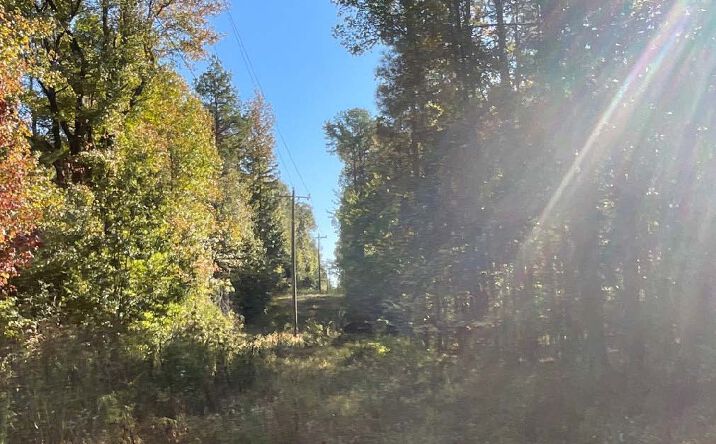 Pictures of Land property located at 167.3 Acres in Carroll County, Carrollton, MS 38911 for sales - image #1