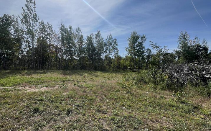 Pictures of Land property located at 107 Paradise Dr, Gaylord, MI 49735 for sales - image #1